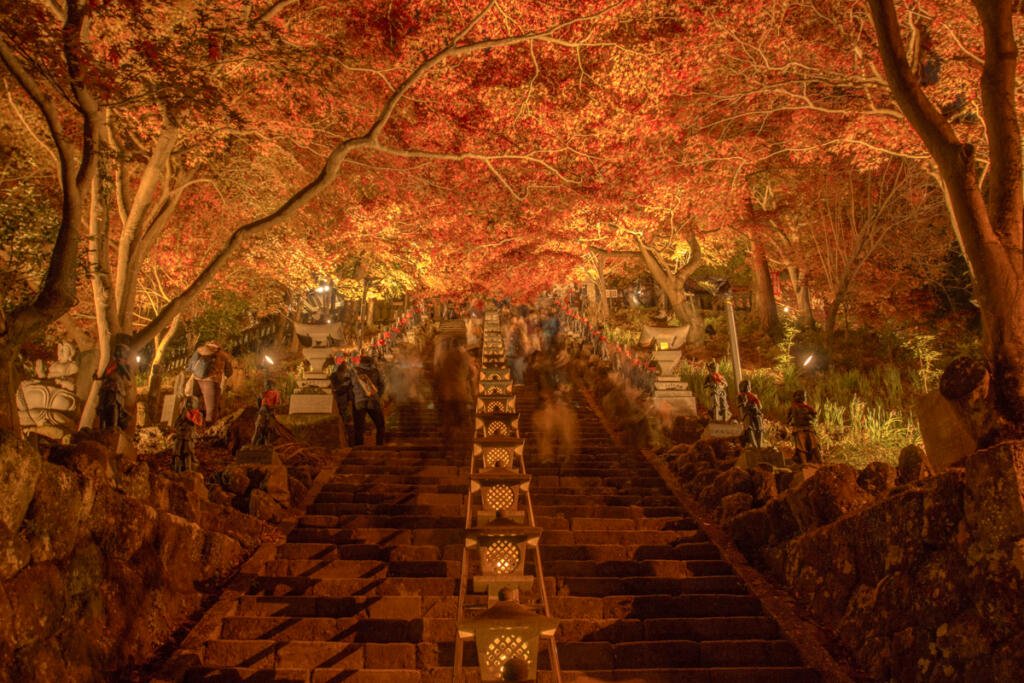 🍁 오야마 참배길(오야마 산도) 이미지 6